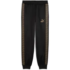 Puma King Anthem Herren Fußballhose, schwarz - PUMA black/PUMA gold S