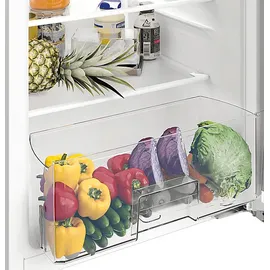 Bauknecht KSI 9GF2 Einbaukühlschrank (110 l, 866 mm hoch)