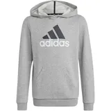 Adidas Essentials TWOCOLORED BIG LOGO COTTON Hoodie - Herren - grau - 152