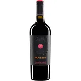 Fantini Sangiovese Terre di Chieti IGT