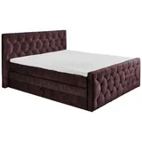ed-lifestyle Boxspringbett Cashfield 8 ca. 180x200 cm Aubergine