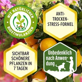 Substral Eisendünger Flüssigdünger 250 ml