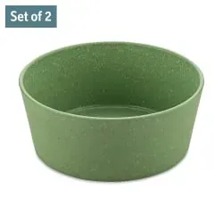 Koziol CONNECT BOWL Schale, 2er Set, 890 ml 7171703 , Farbe: grün