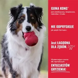 Kong Flyer S rot