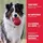 Kong Flyer S rot