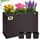 DEUBA Blumenkasten 83 x 30,5 x 60 cm Braun