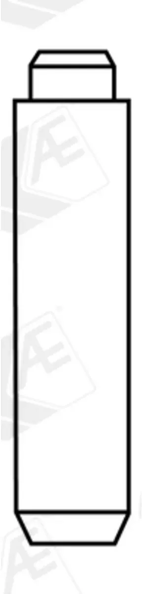 Guida della valvola AE VAG96372