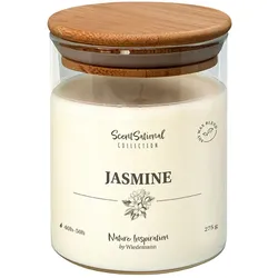 Wiedemann Kerzen Duftkerze im Glas "Jasmine" 275g, 1 Stück