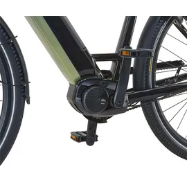 Prophete Geniesser 5.0 Damen 48 V Schwarz-Silbergrün 28 Zoll