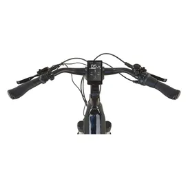 Prophete Geniesser 5.0 Damen 48 V Schwarz-Silbergrün 28 Zoll