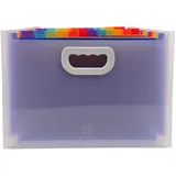 Exacompta - Ref. 55198E – Karton mit 4 Ordnern erweiterbarer Koffer mit Griffen – Deckel und Innenseite aus PP – mit 2 Etikettenhaltern auf der Vorderseite – 24 Fächer – Maße: 33 x 23,5 x 25 cm –