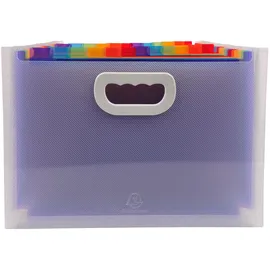 Exacompta - Ref. 55198E – Karton mit 4 Ordnern erweiterbarer Koffer mit Griffen – Deckel und Innenseite aus PP – mit 2 Etikettenhaltern auf der Vorderseite – 24 Fächer – Maße: 33 x 23,5 x 25 cm –