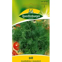 Quedlinburger Saatgut Dill, Gewöhnlicher