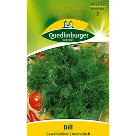 Quedlinburger Saatgut Dill, Gewöhnlicher