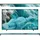 TQ43Q7FAAU 43" QLED 4K Vision AI Smart TV Q7F