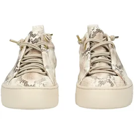 Paul Green 5317-079 Damen Beige 39