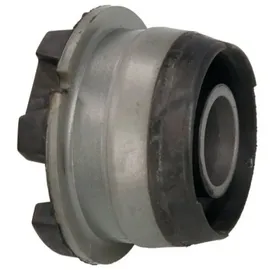 REINHOCH Lagerung, Achsträger RH19-4000