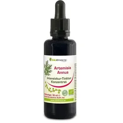 Artemisia Annua Konzentrat