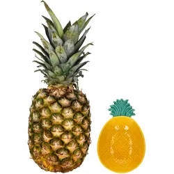 Pina Schale klein Ananas-Relief Kuchen Obst Sommer Party 3D-Look bunt Bowl