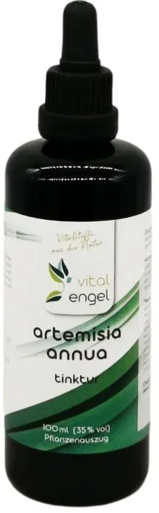 Artemisia annua Pflanzenauszug (100 ml) - Vital Engel