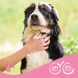 beaphar Entfilzungs-Shampoo für Hunde 250 ml Grün/Rosa