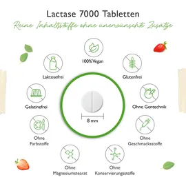 Vit4ever Lactase 7000 Tabletten 180 St.