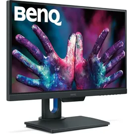 BenQ PD2500Q 25"