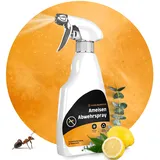 Schädlingsmeister Ameisen Abwehrspray - 500 ml - Schutz mit Eukalyptus & Chrysanthemum-Extrakt - Anti Ameisen Spray - Ameisenmittel Innen & Außen - Made in Germany