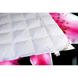 Betten Hofmann Canada Kassetten Daunenbett 4x6 155x220 1200 g Daunendecke 100% neue Daunen - Weiß