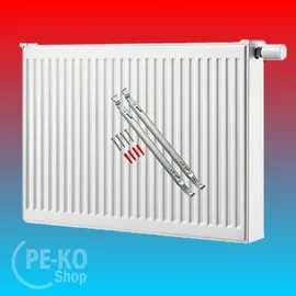 Buderus Flachheizkörper 600 x 1000 mm 1688 W weiß Typ 22 Mittelventil