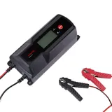 Accurat Opti Plus 22A 12V