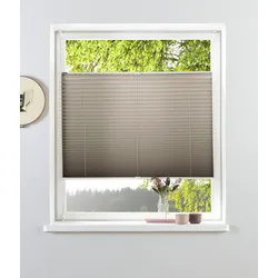 Plissee »Lagos« Lichtschutz ohne Bohren verspannt Fixmaß, Bestseller mit über 500 4,5-Sterne-Bewertungen, Klemmträger, 86578049-6 hellbraun