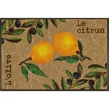 Wash+Dry Le Citron 75 x 120 cm Beige/Gelb