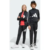 Adidas Essentials Big Logo Climacool Trainingsanzug Black / White