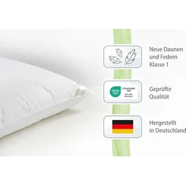 franknatur Ballonbett 155x220 Winterdecke 50% Gänsedaunen 2200g - Bettdecke Winter