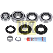 schaeffler luk Reparatursatz, Differential