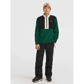 O'Neill Fwc Cruz Snow Pants Black Out M