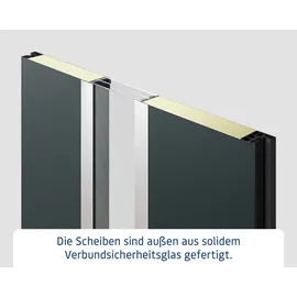 Hörmann ISOPRO IP 020S rechts 110 x 210 cm weißaluminium
