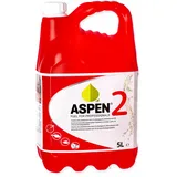 Aspen 2