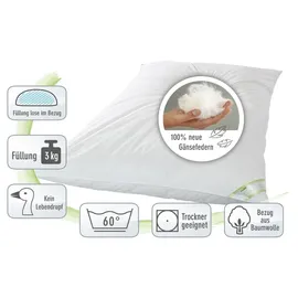 franknatur Ballonbett 135x200 Winterdecke 100% neue Gänsefedern 3000g Bettdecke Winter