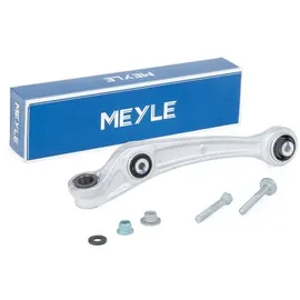 Meyle Lenker, Radaufhängung