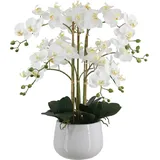 Künstliche Orchidee - Dan | 65 cm