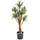 aplanta Künstliche Agave - Prince | 70 cm