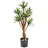 aplanta Künstliche Agave - Prince | 70 cm