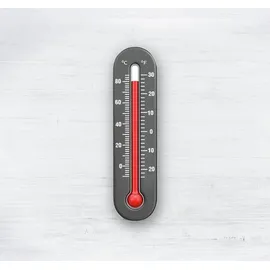 Bosch DesignLine TWK4P 440 edelstahl