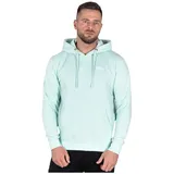 Alpha Industries Basic Small Logo Kapuzenpullover Mint M