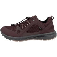 ECCO Terracruise Ii Hiking Shoe, Fig/fig, 40 EU