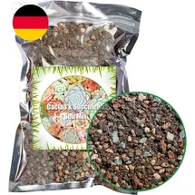 gotvuge Hochwertige Sukkulenten- und Kakteenerde 2500g, Sofort einsatzbereite Bonsai-Erde, schnell entwässernd und mit zusätzlichen Nährstoffen angereichert