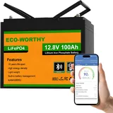 ECO-WORTHY 12V 100Ah LiFePO4 Bluetooth mit BMS Low Temperature Schutz,1280Wh Lithium Batterie 12V 100Ah Autobatterie für Wohnmobil,Wohnwagen,RVs