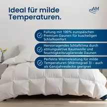 AM Qualitätsmatratzen DormiGood Daunendecke 155x220 cm | Atmungsaktive Ganzjahresdecke 155x220 | Oeko-TEX zertifizierte Federbettdecke 155x220cm